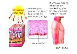 ဆောင်းပါး