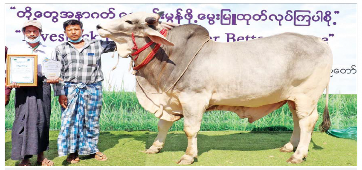 မွေးမြူရေးဆိုင်ရာ အသိပညာ 