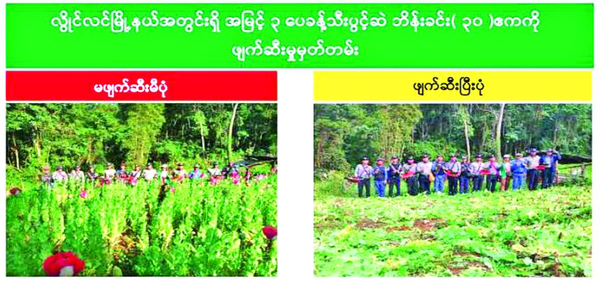 ကိန်းဂဏန်းများနောက်ကွယ်က မျက်ကွယ်ပြုခံရတဲ့ အမှန်တရား